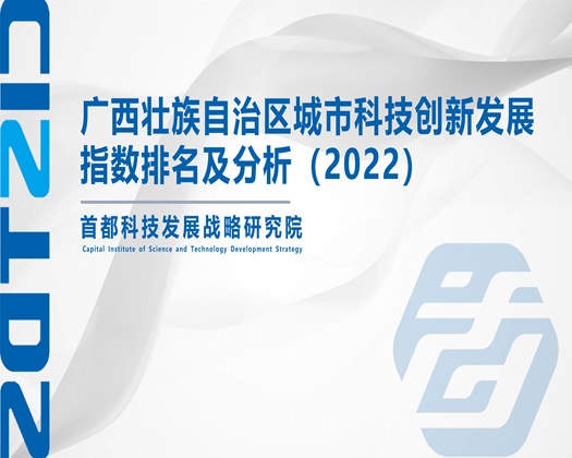 草阴道啊啊啊啊啊电影【成果发布】广西壮族自治区城市科技创新发展指数排名及分析（2022）